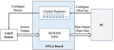 A Novel Rain Removal Approach for Outdoor Dynamic Vision Sensor Event Videos